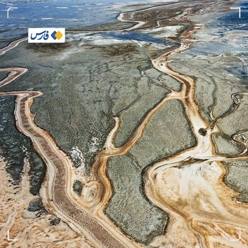 Japan becomes supporter of Gavkhouni wetland restoration program