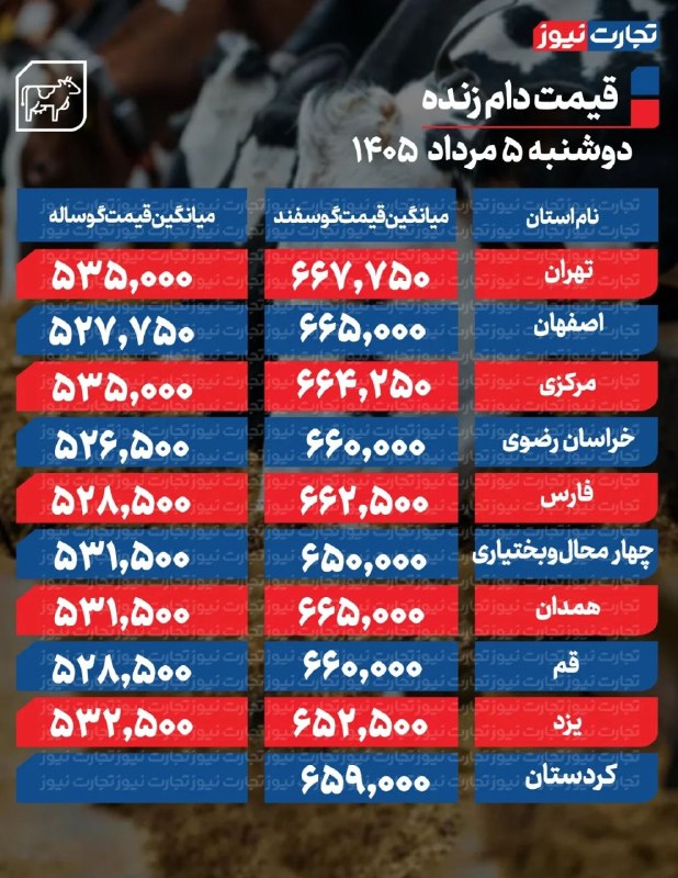قیمت دام زنده امروز ۵ مرداد ۱۴۰۵