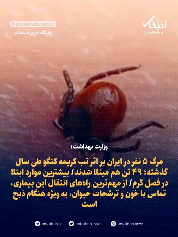 Building Atabat Instead of Iran