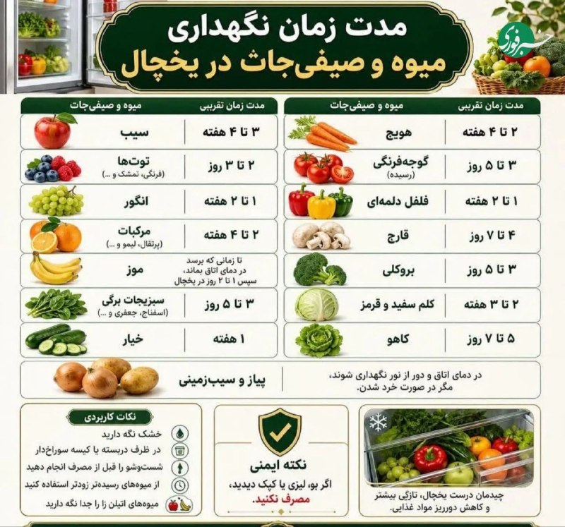 راز تازه ماندن میوهها؛ مدت نگهداری هر کدام در یخچال 🇮🇷 ✊