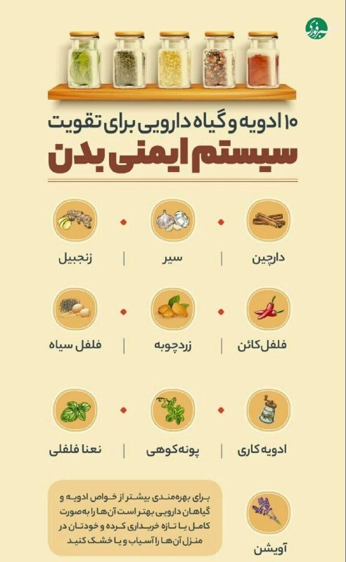 با این ۱۰ نوع گیاه و ادویه، سیستم ایمنی خود را تقویت کنید 🇮🇷 ✊
