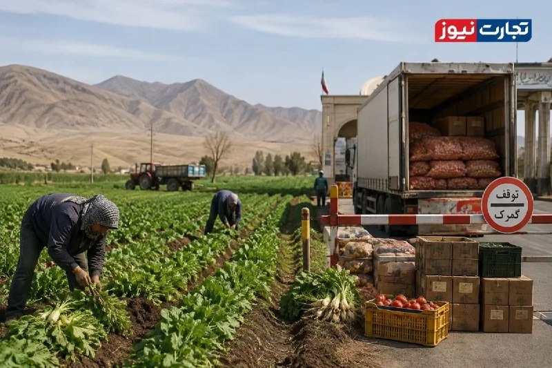 علی رضوانیزاده، رئیس کمیسیون کشاورزی اتاق ایران، در گفتوگو با