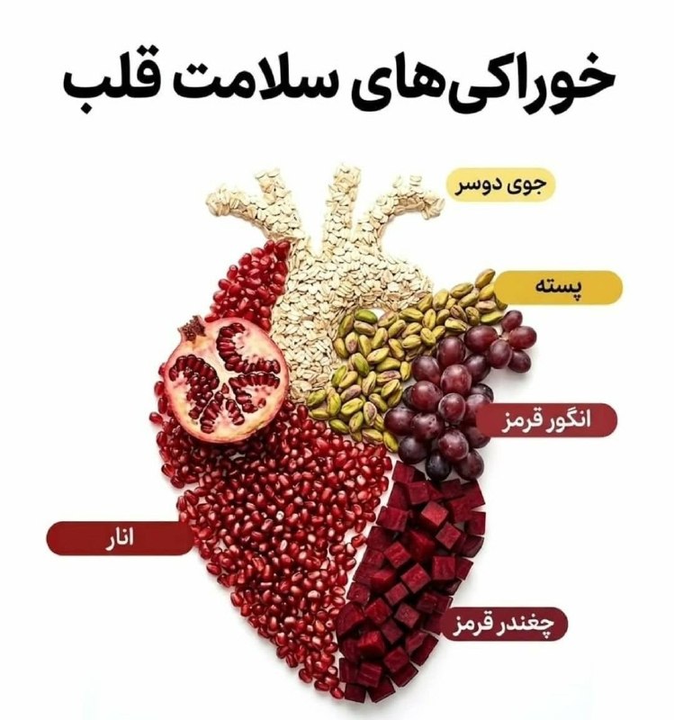 Beneficial nutrition for each body organ