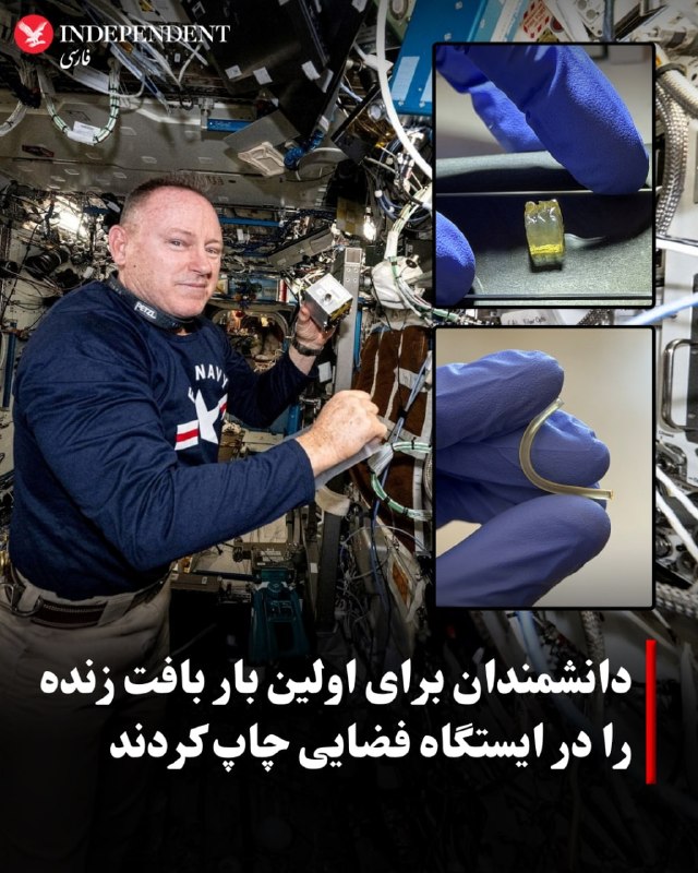 شرکت آمریکایی با چاپگر زیستی سهبعدی موفق شد