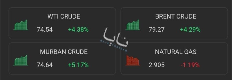Brent Oil Price Rises 4% to 80 Dollars