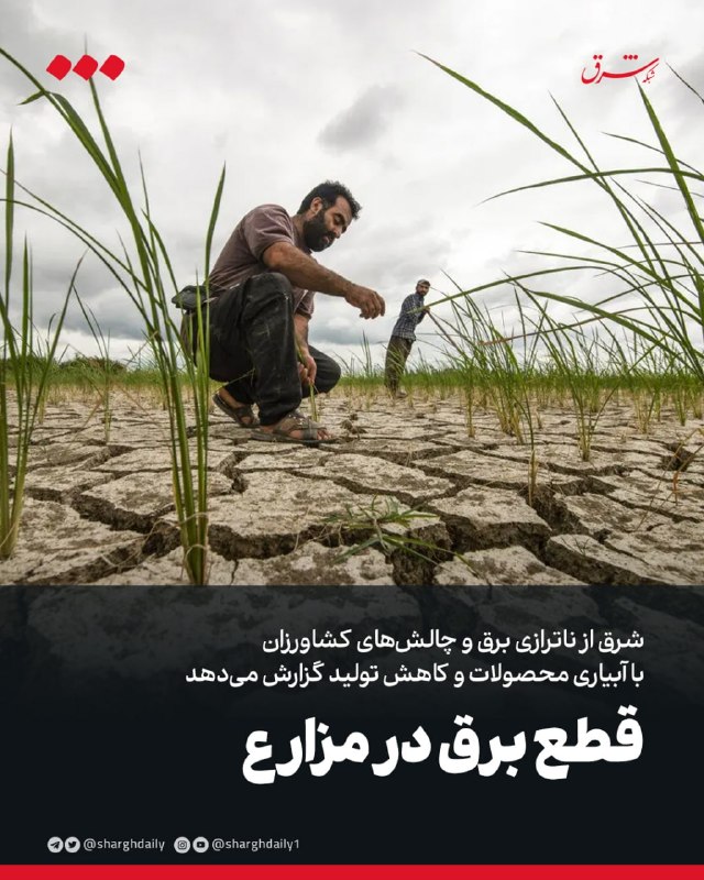 «شرق» از ناترازی برق و چالشهای کشاورزان با آبیاری محصولات و کاهش تولید گزارش میدهد قطع برق در مزارع ✍ کیمیا نعمت اله
