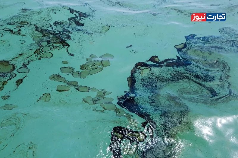 Tejaratnews Examines Consequences of Oil Pollution in Persian Gulf